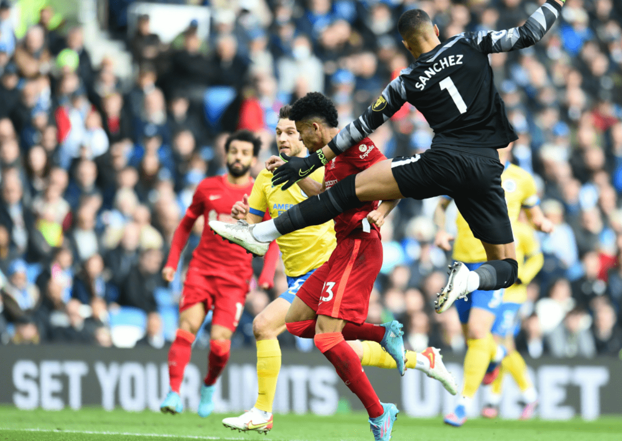 关于里程碑夜!布莱顿迎来里程碑,意大利杯国际比赛日刷纪录,态度坚定,年轻球员得到机会的信息 关于里程碑夜!布莱顿迎来里程碑,意大利杯国际比赛日刷纪录,态度坚定,年轻球员得到机会的信息